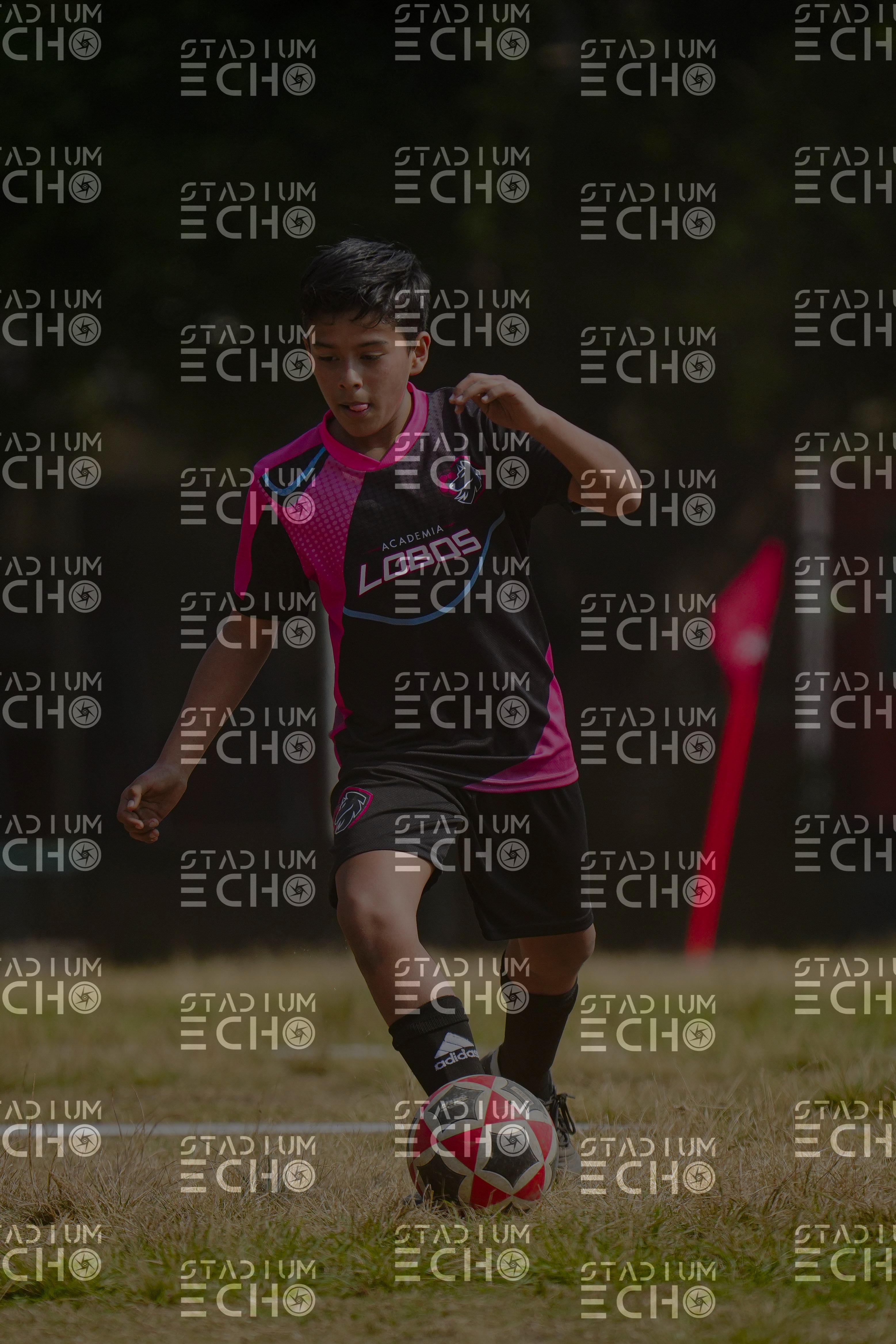 Copia de _DSC1613.jpg