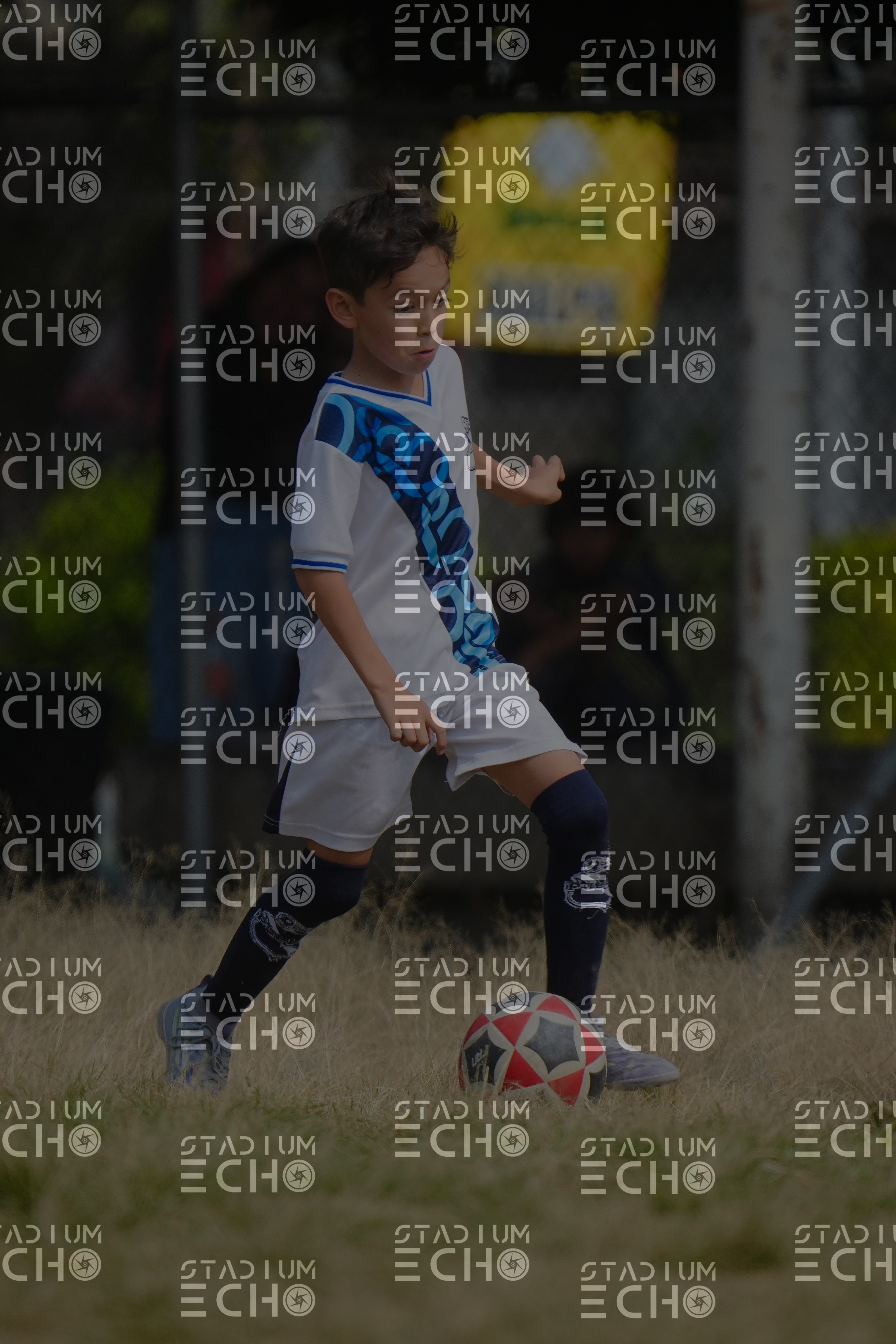 Copia de _DSC2034.jpg